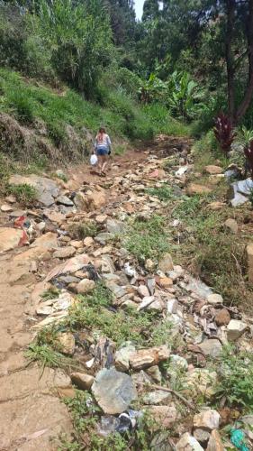 24-7bb15a5d-8f1e-4561-8df8-d95d0ebfdb03 (1)